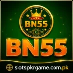 BN55