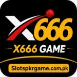 x666